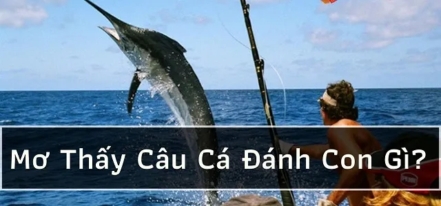 Nằm mơ câu cá đánh con gì?